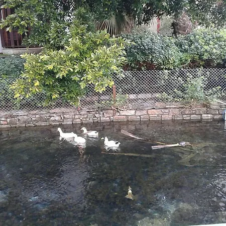 Sahil Apart Muğla